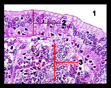 Unit_12-09a