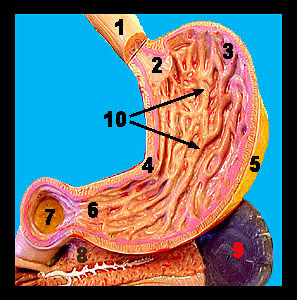 Unit_13-03a