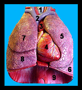 Unit_15-15a