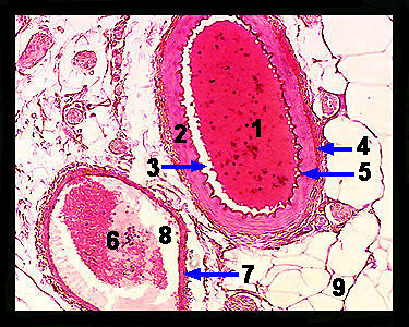 Unit_19-01a