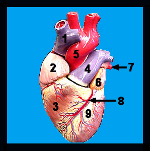 Unit_19-05a