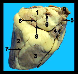 Unit_19-16a