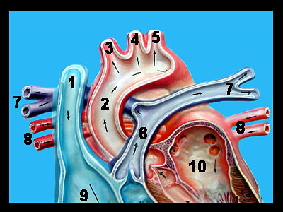 Unit_19-24a