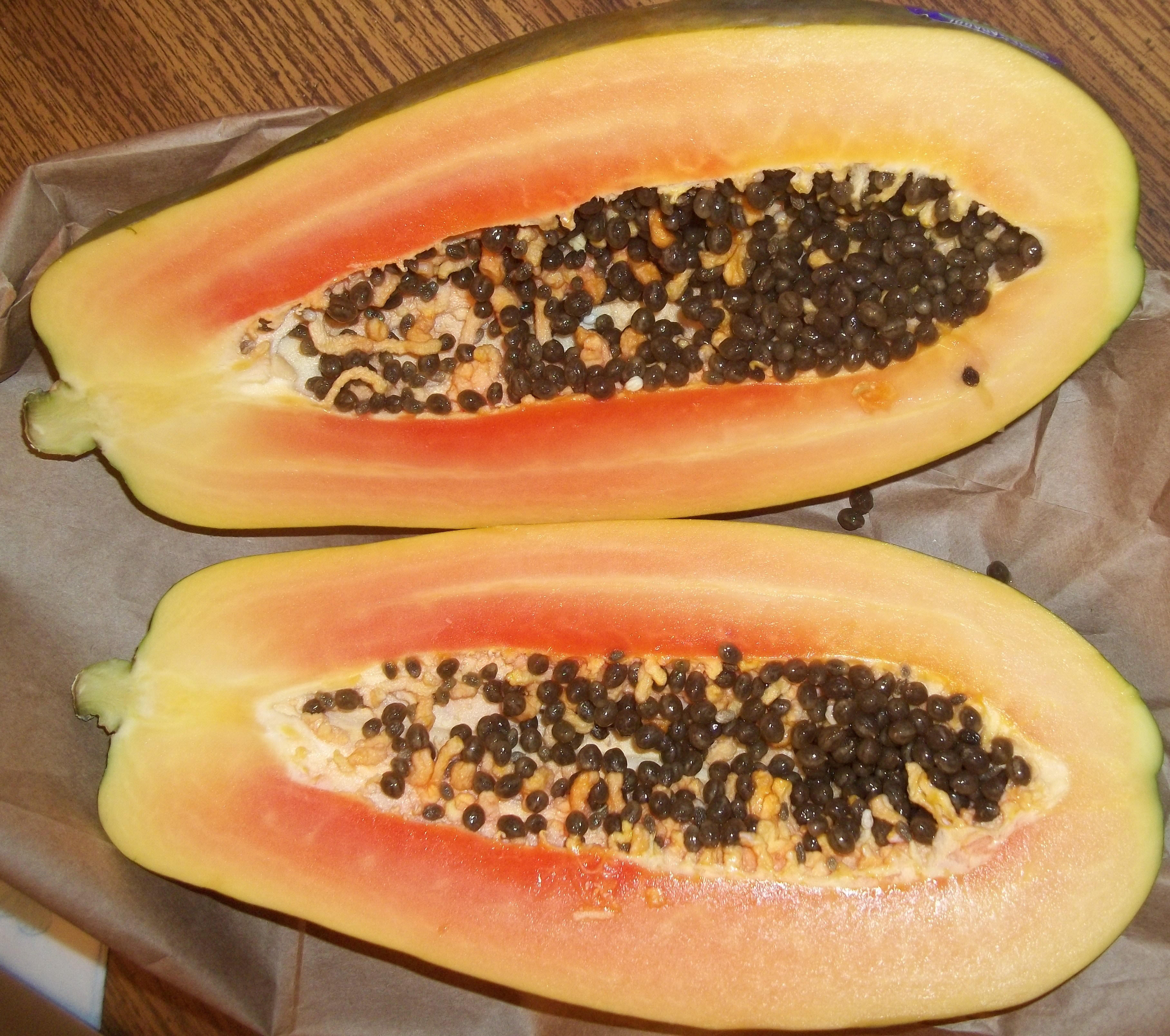 Carica papaya, picture taken by me! 