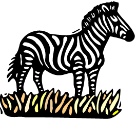 zebra2