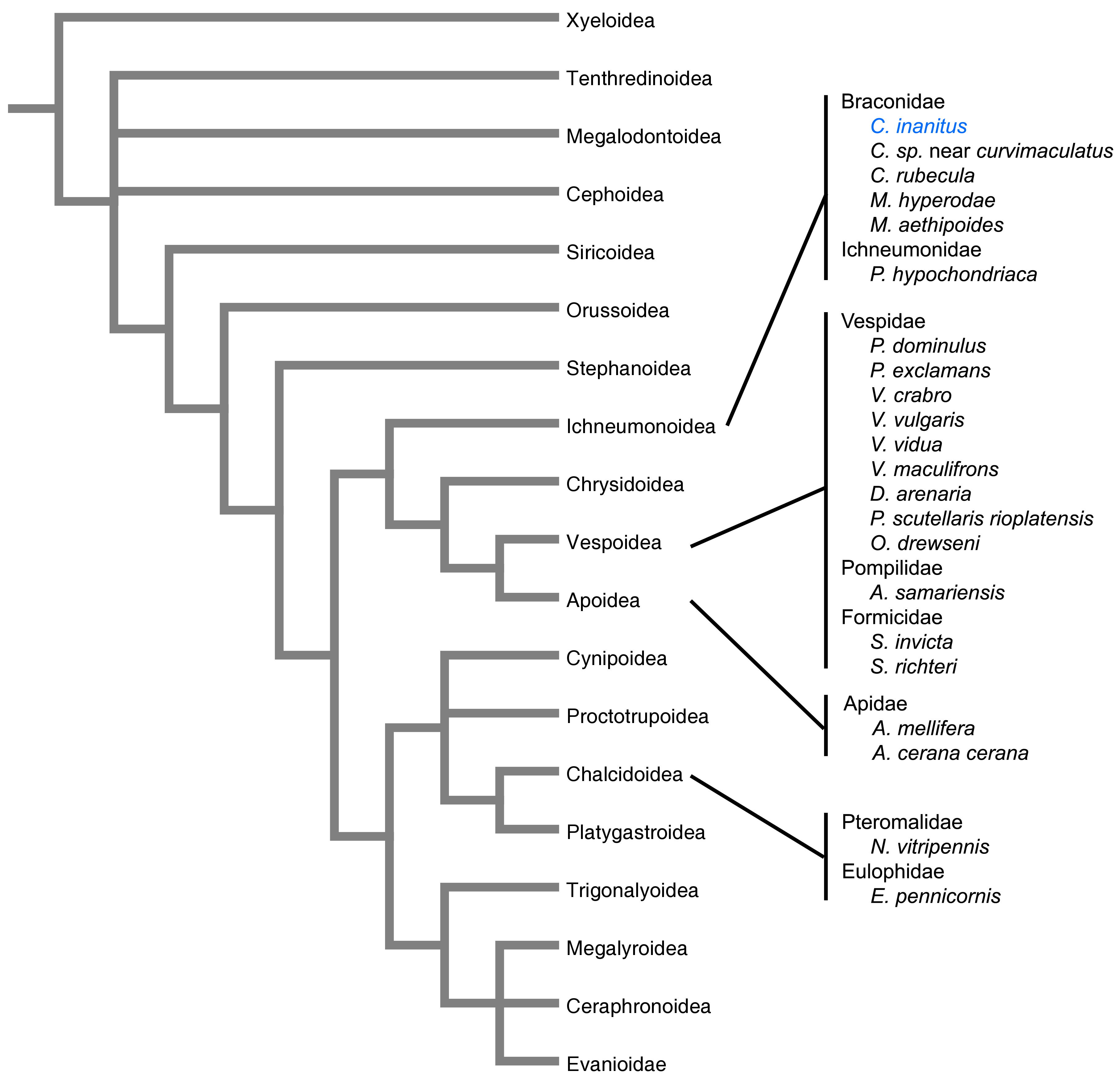 Used with permission from Sebastien Moreau.  http://www.biomedcentral.com/1471-2164/11/693#