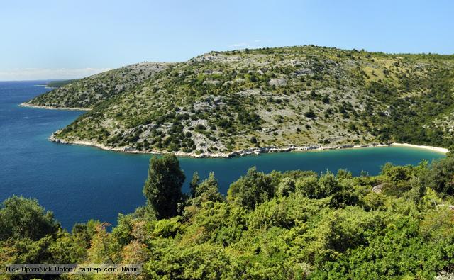 Mediterranean Basin