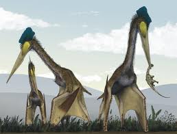 Pterosaur feeding. Pterosaurs Mark Witton Accessed November 23, 2013