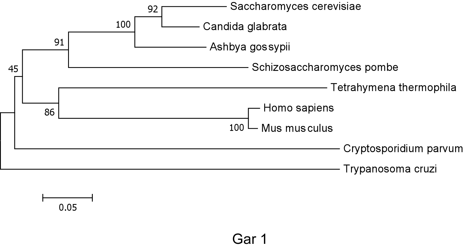 Telomerase Database