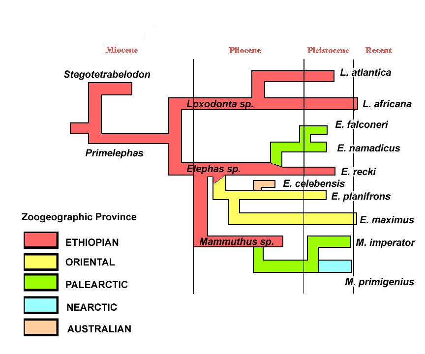 http://www.radford.edu/~swoodwar/CLASSES/GEOG235/exercises/phylog.html