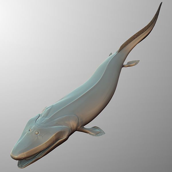 Tiktaalik reconstruction. Photo used from Wikimedia Commons, uploaded by Obsidian Soul.