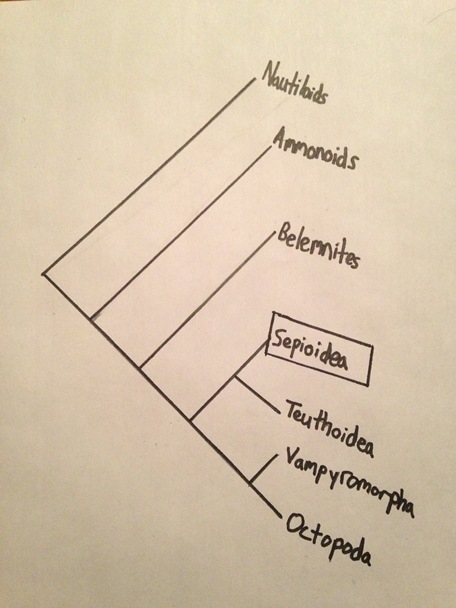 Handwriiten by Kyle Ziegler