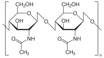 Chitin: Wiki Commons