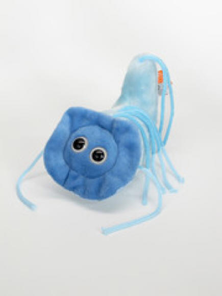 Giardia plush toy