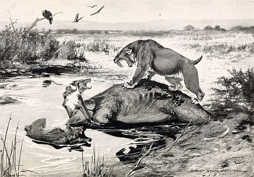 S. fatalis and Canis Dirus