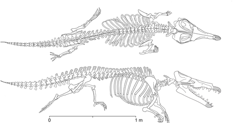 http://www.plosone.org/article/info%3Adoi%2F10.1371%2Fjournal.pone.0004366#pone-0004366-g015