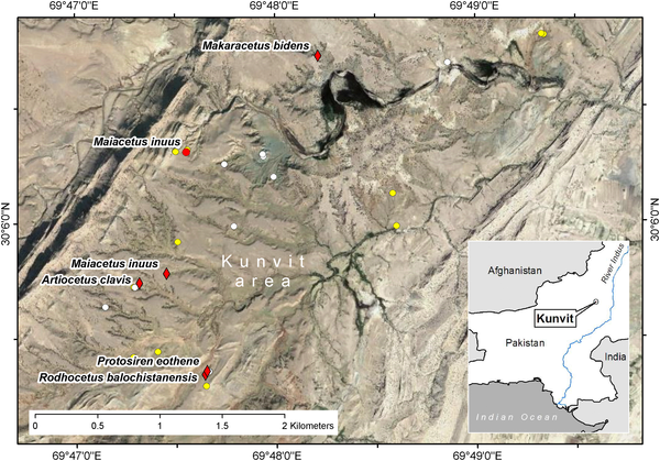 http://www.plosone.org/article/info%3Adoi%2F10.1371%2Fjournal.pone.0004366#pone-0004366-g015