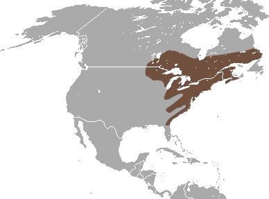 The geography of Condylura cristata. Photo credit:  IUCN Red List via Wiki commons 2010.