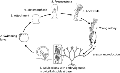 Used with permission from Nature Publishing Group