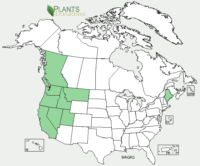 Image: Map of known locations of Madia gracilis. Image from the USDA website. 