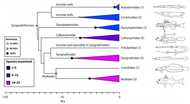 Source: Plos.org