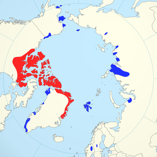 Musk Ox Habitat in the Northern Regions