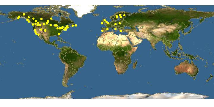 Map of locations of Cyclosa conica