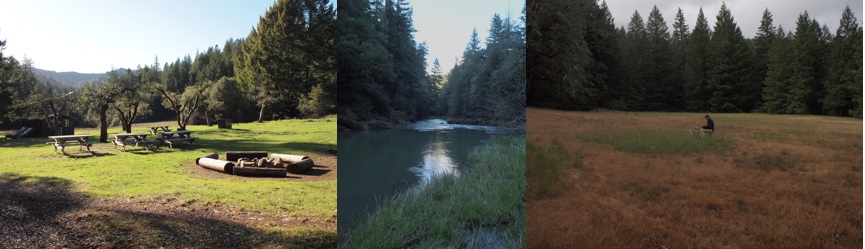 A collage of photos taken at the Angelo Reserve by Dr. Meredith Thomsen. Permission to use photos given by Meredith Thomsen.