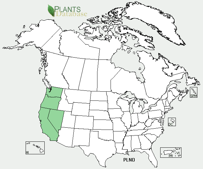 Plagiobothrys nothofulvus range.