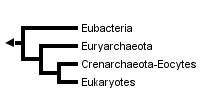  http://tolweb.org/Life_on_Earth/1