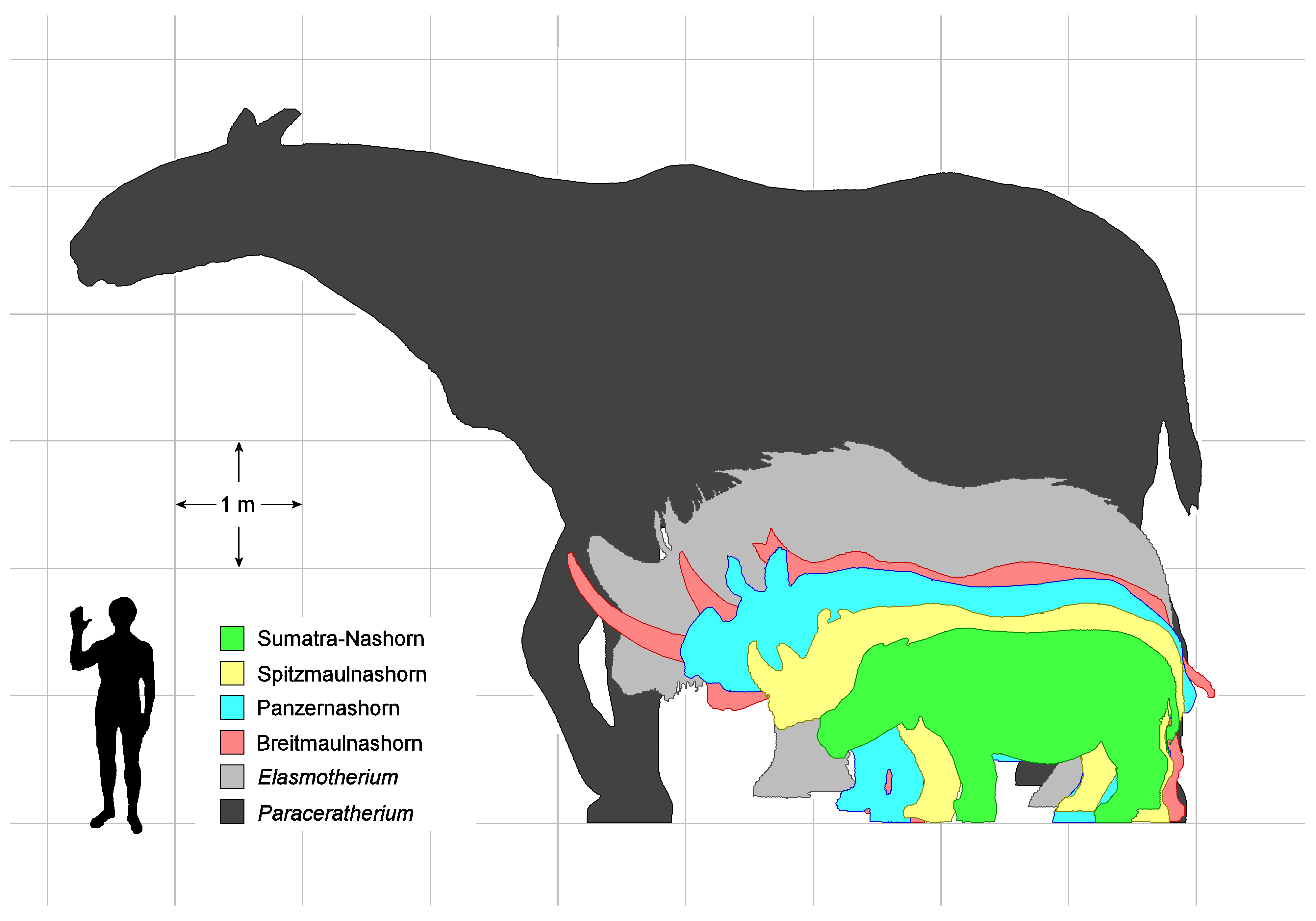 Size comparison