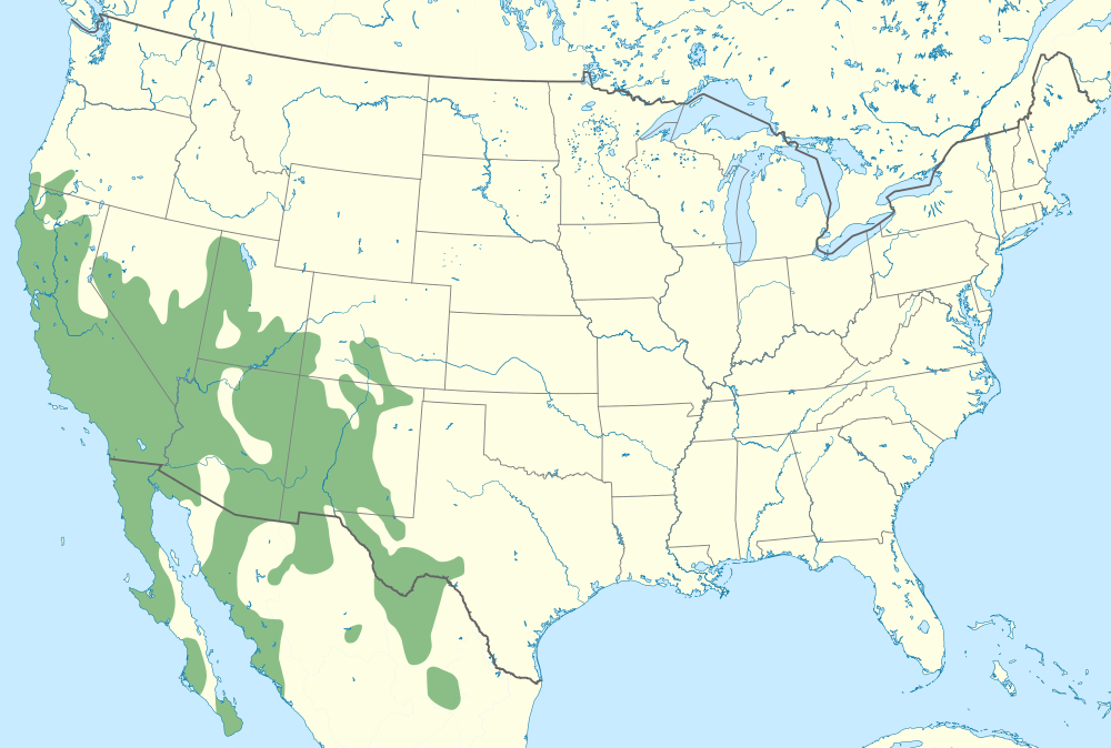 Taken from http://commons.wikimedia.org/wiki/File%3AThomomys_bottae_distribution_map.svg. Map of the distribution of Thomomys bottae.