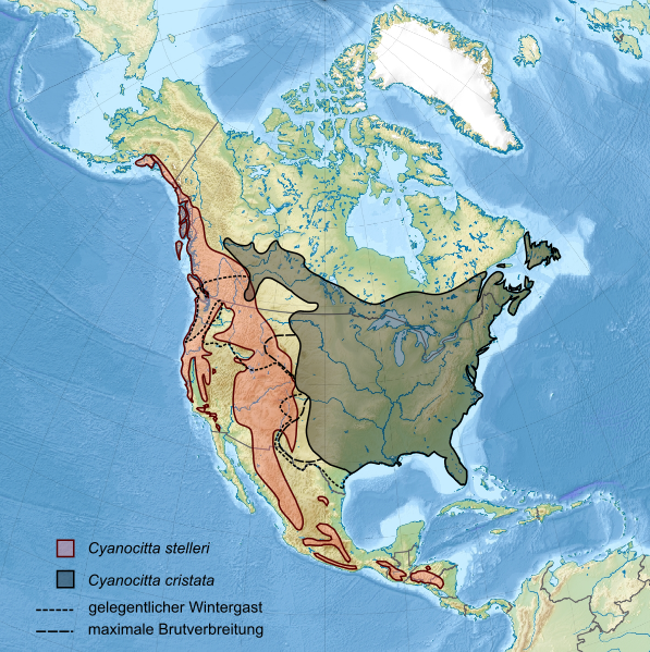 Steller's Jay Range vs Blue Jay Range used with permission from wikicommons