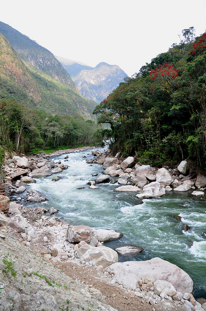 Rushing River Water Where Black Flies Live