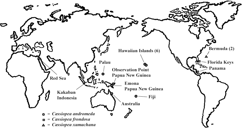 Used with permission by Santhanakrishnan, A., M Dollinger, C.L. Hamlet, S.P. Colin, and L.A. Miller.