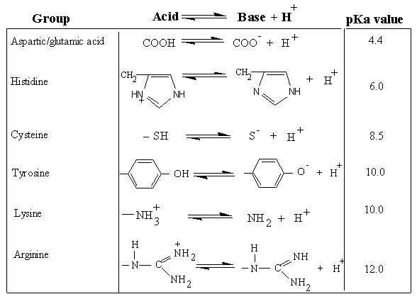 the amino acid sequence of its polypeptide chain