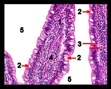 Unit_12-24a