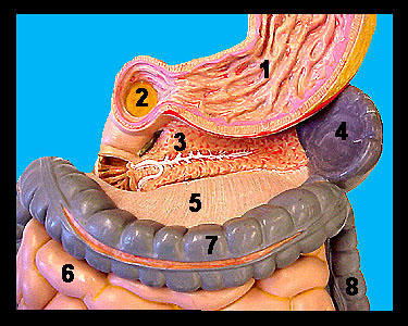 Unit_13-04a