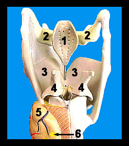 Unit_15-11a