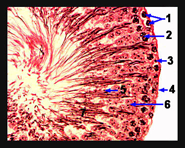 Unit_18-12a