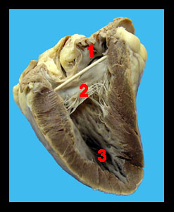 Unit_19-19a