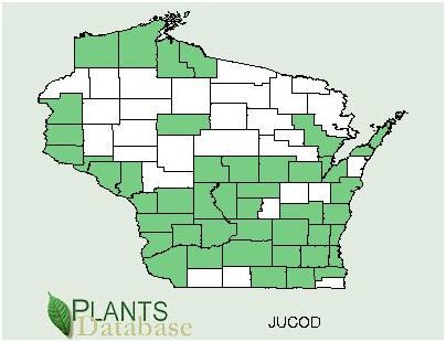 USDA: Plant Database
