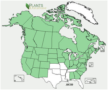 USDA: Plant Database