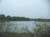 Myrick marsh in La Crosse, WI. Photo by Amanda Goodman.