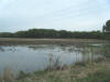 Myrick marsh in La Crosse, WI. Photo by Amanda Goodman.