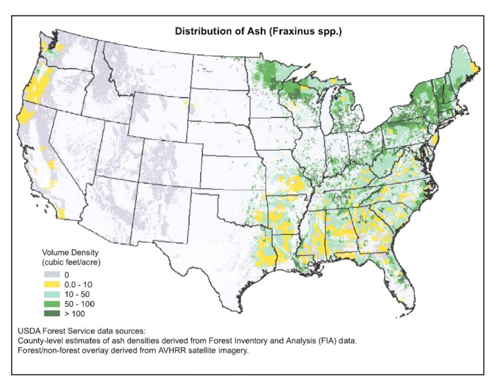 Map of Ash tree locations in US