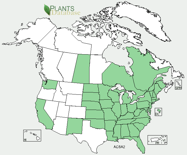 http://plants.usda.gov/java/profile?symbol=ACSA2 -- This map shows the locations where Acer saccharinum is found.