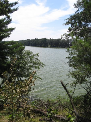 Lake Chetek- Prime Bluegill Habitat (Image taken by Author)