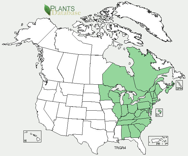 Trillium location in North America