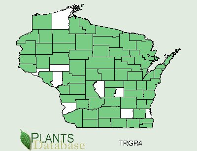 Map of Trillium location in Wisconsin